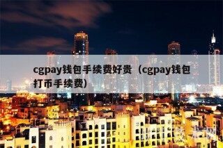 cgpay钱包手续费好贵（cgpay钱包打币手续费